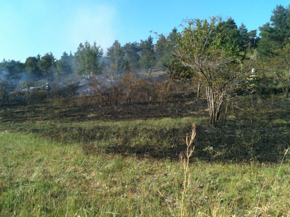 531003_483043458373095_1059200610_n